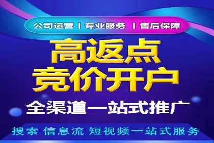 百度竞价代运营公司成功案例解析